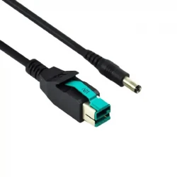POS CABLE POWEREDUSB 12V TO USB-B MALE AND 5521 DC PLUG
