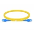 FIBER OPTICAL PATCH CORD SC-SC/APC8 SINGLE MODE 24M 9/125