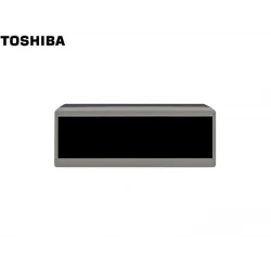 POS CUSTOMER DISPLAY IBM/TOSHIBA S. SIDED RS485 HEAD
