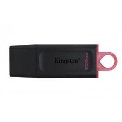 Kingston Technology DataTraveler Exodia USB flash drive 256 GB USB Type-A 3.2 Gen 1 (3.1 Gen 1) Black