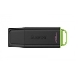 Kingston Technology DataTraveler 256GB Portable USB 3.2 Gen 1 Exodia Black/Green