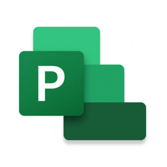 Microsoft Project Standard 2024 Project management Full 1 license(s)