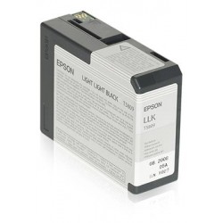 Epson Singlepack Light Light Black T580900
