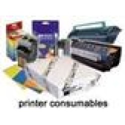Epson Duck Singlepack Cyan T0552
