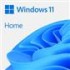 Microsoft Windows 11 Home 1 license(s)