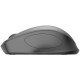 HP 280 Silent Wireless Mouse / 19U64AA