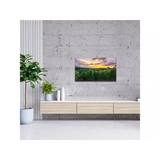 TV Thomson Android 43" QLED 43QA2S13