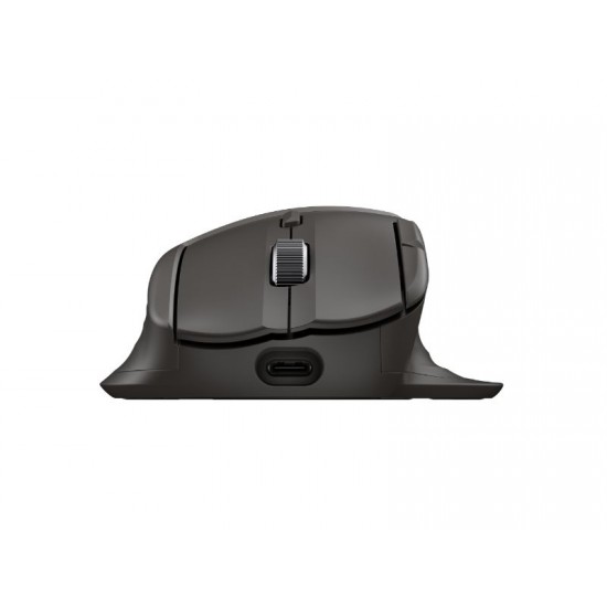 HP Ultra-Fast-Scroll Wireless Mouse 780M B8YX3AA