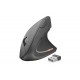 MOUSE WIRELESS TRUST VERTO ERGO 22879