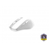 TRUST NITO SILENT WIRELESS MOUSE - WHITE