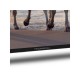 TV Thomson Android 50" UHD 50UA5S13