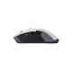 Trust ybar wireless mouse GXT923W 24889