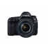 DSLR CANON EOS-5DIV/24-105LMMISII USM