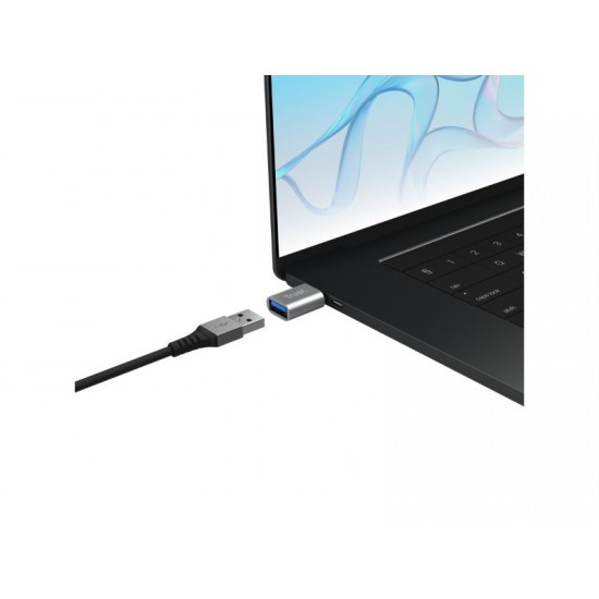 Trust Calyx USB-C to USB-A Adapter 2Pack - 26221