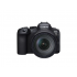 Canon EOS R6 MARK II V5+RF24105 S SEE