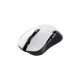 Trust ybar wireless mouse GXT923W 24889
