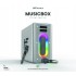 HiFuture Music Box Silver Party Bluetooth Speaker
