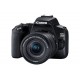 CANON EOS 250D BK 18-55 S CP RUK/SEE