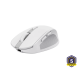 MOUSE WRL TRUST OZAA COMPACT WH 24933