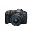 Canon EOS R8+RF24-50 F4.5-6.3 IS STM SEE