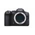 Canon EOS R6 MARK II BODY V5 SEE