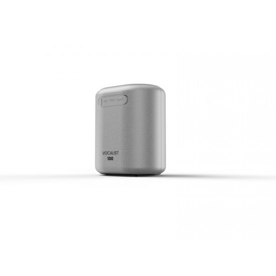HiFuture Vocalist100 Silver Party Bluetooth Speaker