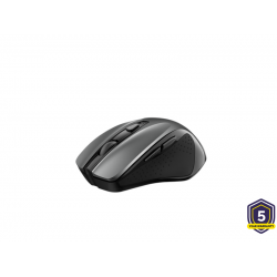 MOUSE WRLS TRUST NITO 24115