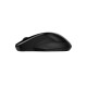 Mouse HP 250 Dual Wireless - 6V2J7AA