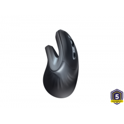 MOUSE WRLS TRUST VERRP ERGO 23507