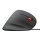 GAM.MOUSE TRUST GXT144 REXX VERTIC 22991