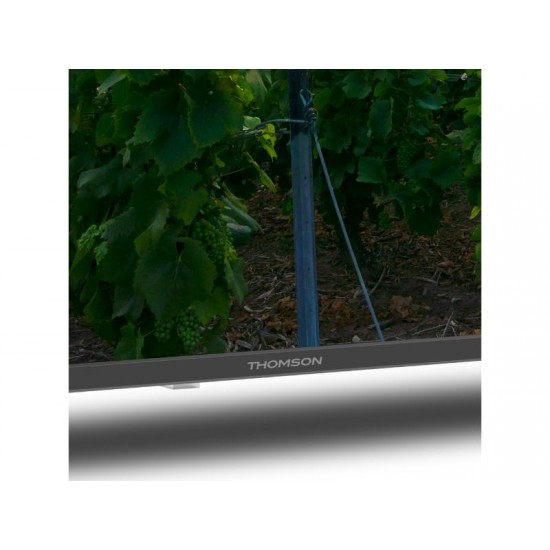 TV Thomson Android 43" QLED 43QA2S13