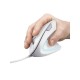 MOUSE TRUST VERTO ERGO WHT 25133
