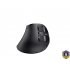 MOUSE WRLS TRUST VOXX ERGO DISPLAY 23731
