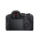 Canon EOS R6 MARK II V5+RF24105 S SEE