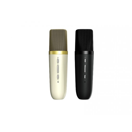 HiFuture Vocalist100  Black  Party Bluetooth Speaker