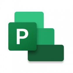 Microsoft Project Standard 2024 Project management Full 1 license(s)