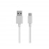 Καλώδιο 2A USB 2.0 σε Type-C Φόρτισης - Data 2m Λευκό Well CABLE-USB/USBC-2WE05-WL