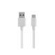 Καλώδιο 2A USB 2.0 σε Type-C Φόρτισης - Data 2m Λευκό Well CABLE-USB/USBC-2WE05-WL