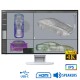 Used Monitor FlexScan EV2785 IPS LED/Eizo/27``Ultra HD 4k/3840x2160/Wide/White/w/Speakers/DP & HDMI